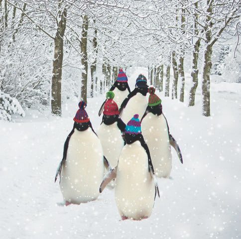 Penguin Waddles